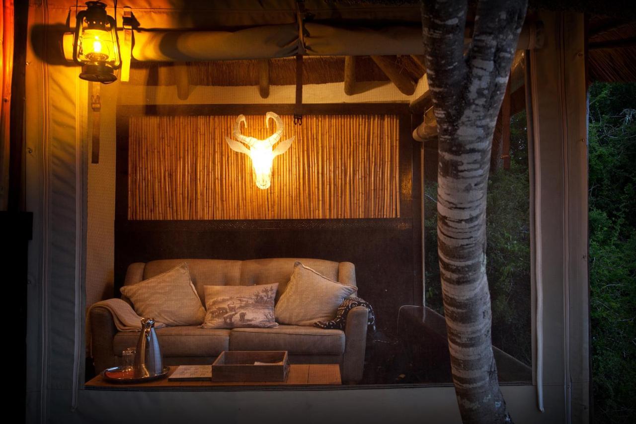Safari Lodge - Amakhala Game Reserve ภายนอก รูปภาพ