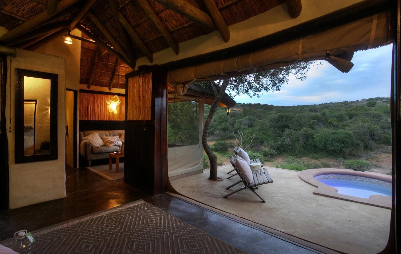Safari Lodge - Amakhala Game Reserve ภายนอก รูปภาพ