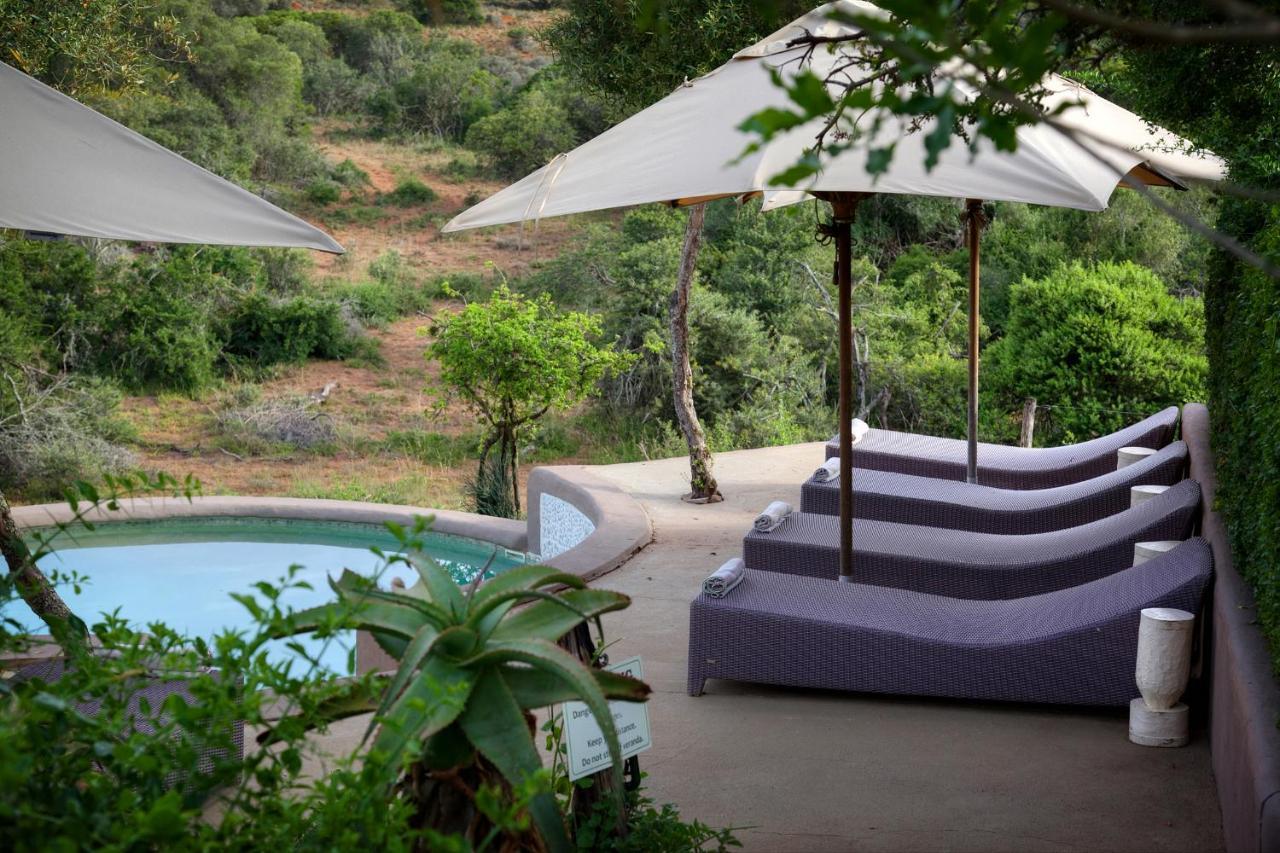 Safari Lodge - Amakhala Game Reserve ภายนอก รูปภาพ