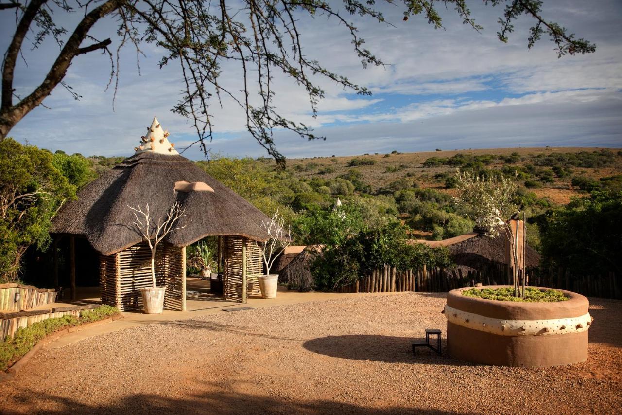 Safari Lodge - Amakhala Game Reserve ภายนอก รูปภาพ