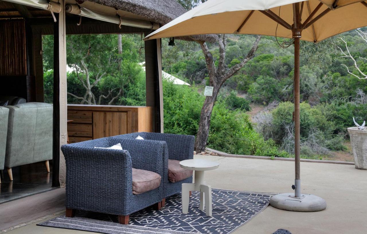 Safari Lodge - Amakhala Game Reserve ภายนอก รูปภาพ