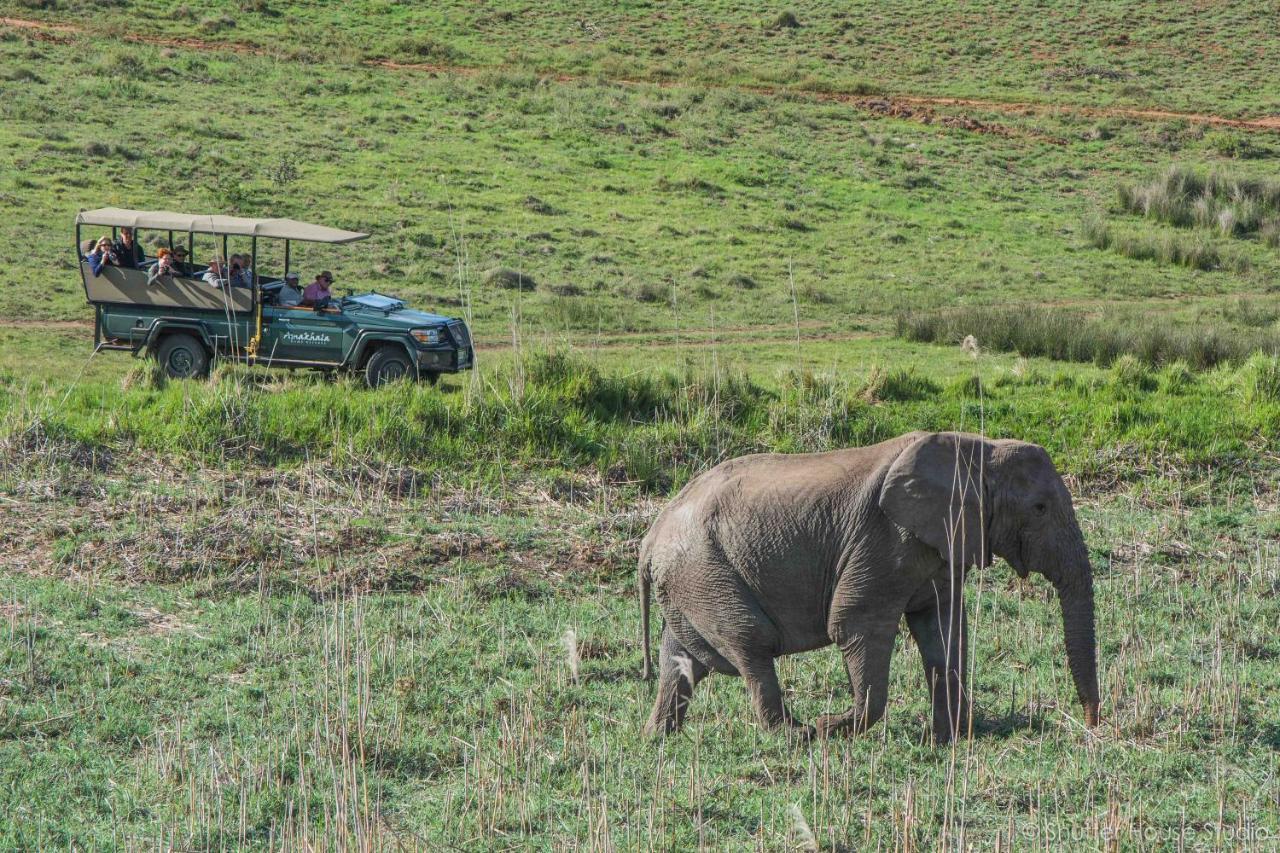 Safari Lodge - Amakhala Game Reserve ภายนอก รูปภาพ
