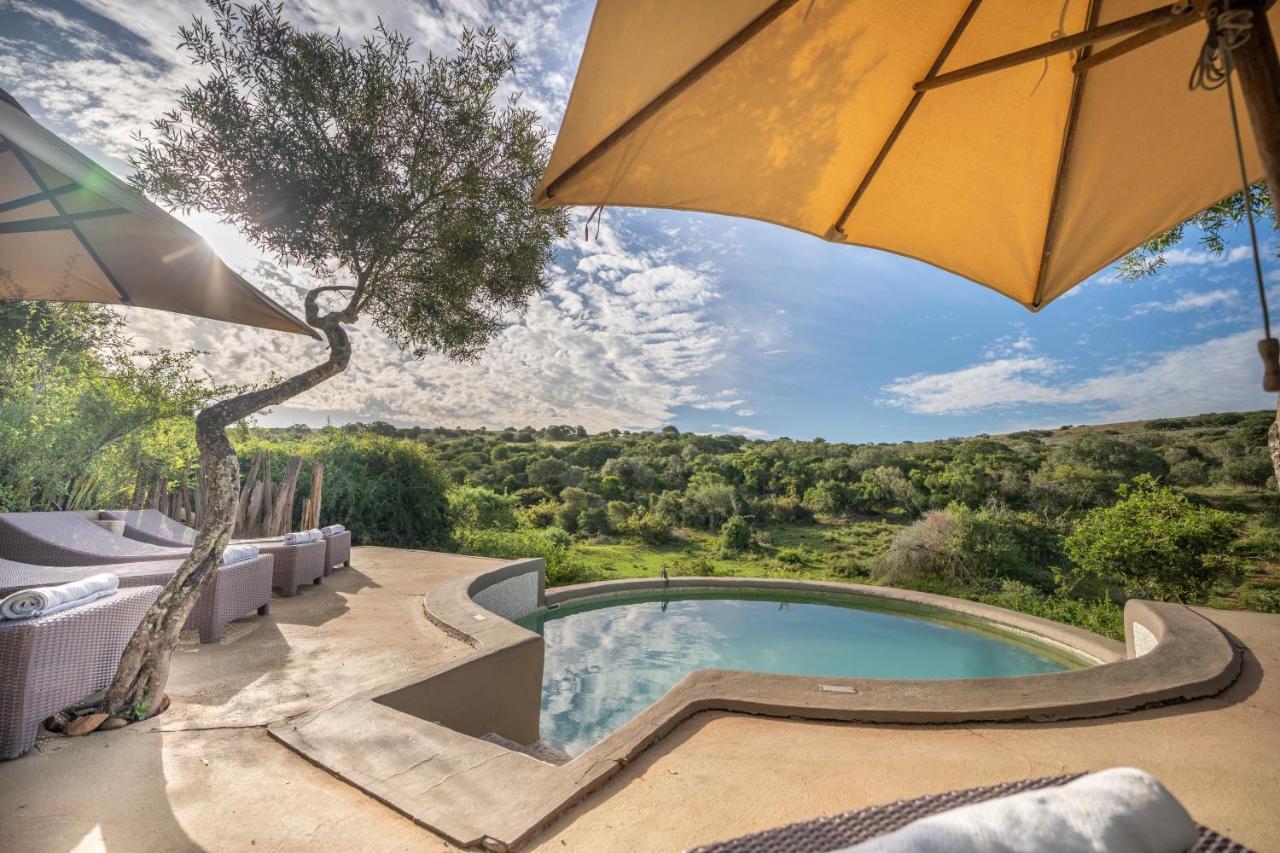 Safari Lodge - Amakhala Game Reserve ภายนอก รูปภาพ