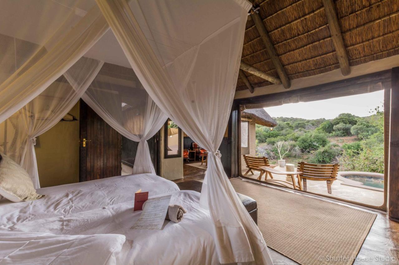 Safari Lodge - Amakhala Game Reserve ภายนอก รูปภาพ